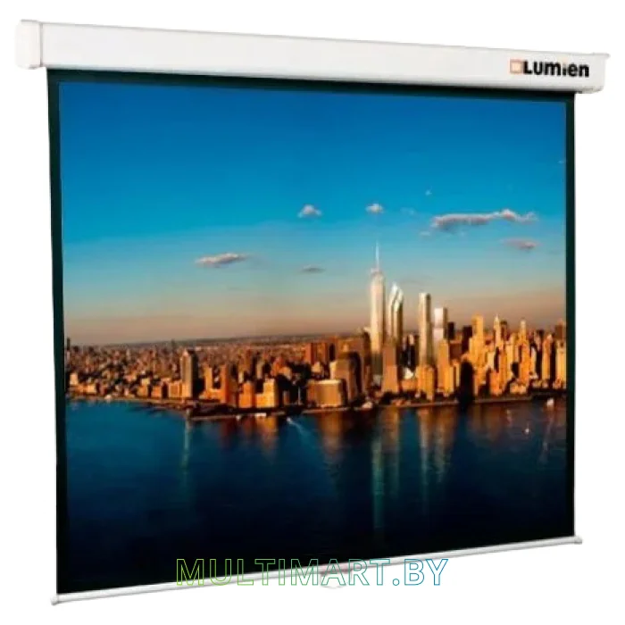 Проекционный экран Lumien Master Picture 154x240 (LMP-100134)